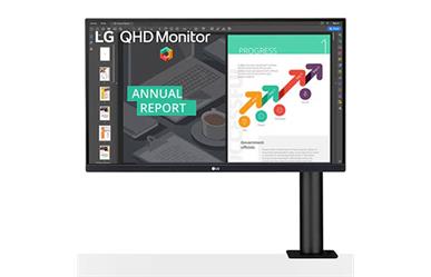 LG 27.0&quot; IPS&lt;br&gt;2560x1440 Resolution&lt;br&gt;Mega Contrast Ratio&lt;br&gt;5ms Response Time&lt;br&gt;HDMI DP USB Connector