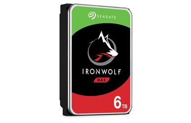 IronWolf 6TB